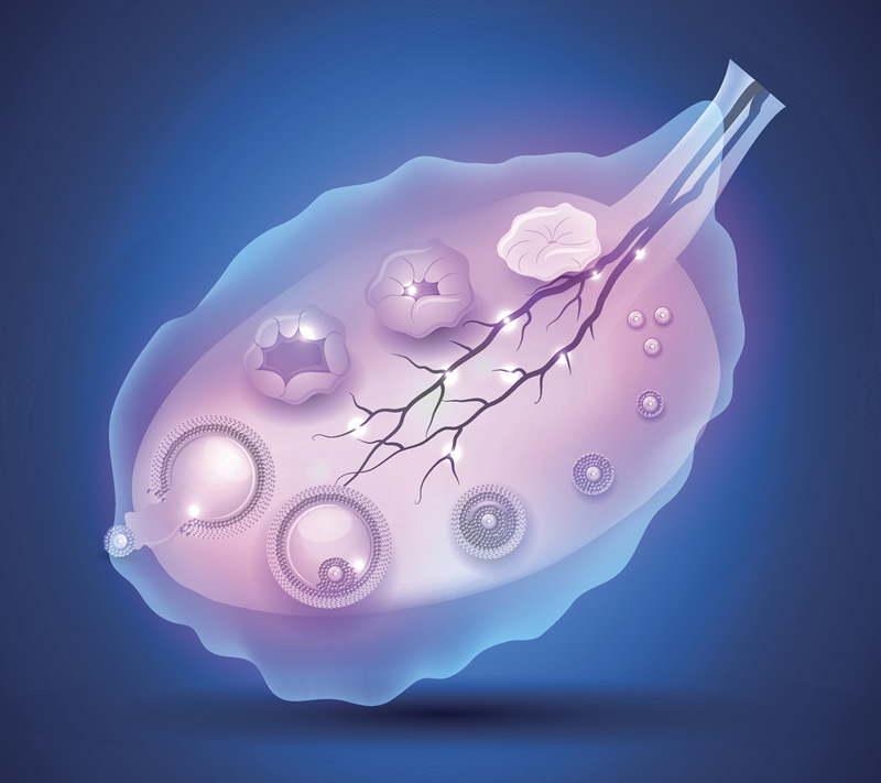 山东烟台试管成功率高的私立医院盘点 2026年TOP5私立机构口碑榜单速看